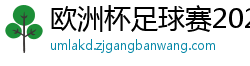 欧洲杯足球赛2024赛程时间表